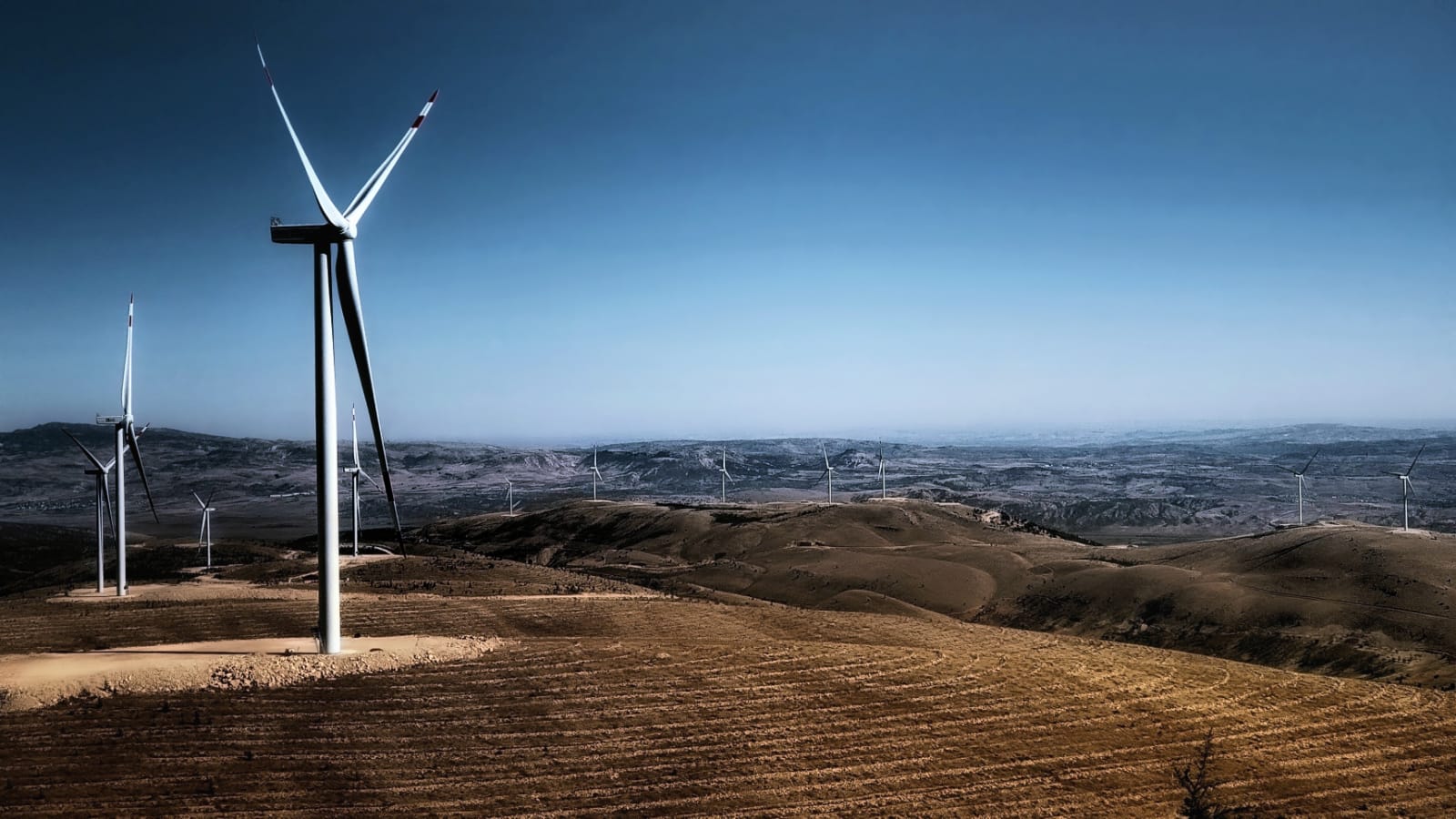 “Yenilenebilir enerjiyle yıllık 300 bin ton karbon salınımını önleyeceğiz”