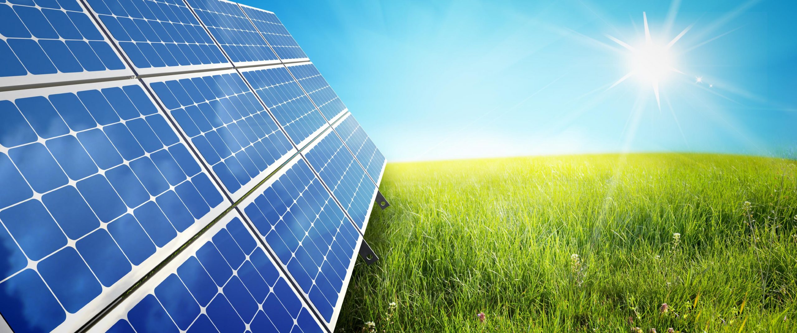 IEA Başkanı Birol: “Güneş, 2050’de dünyanın en büyük enerji kaynağı olacak”