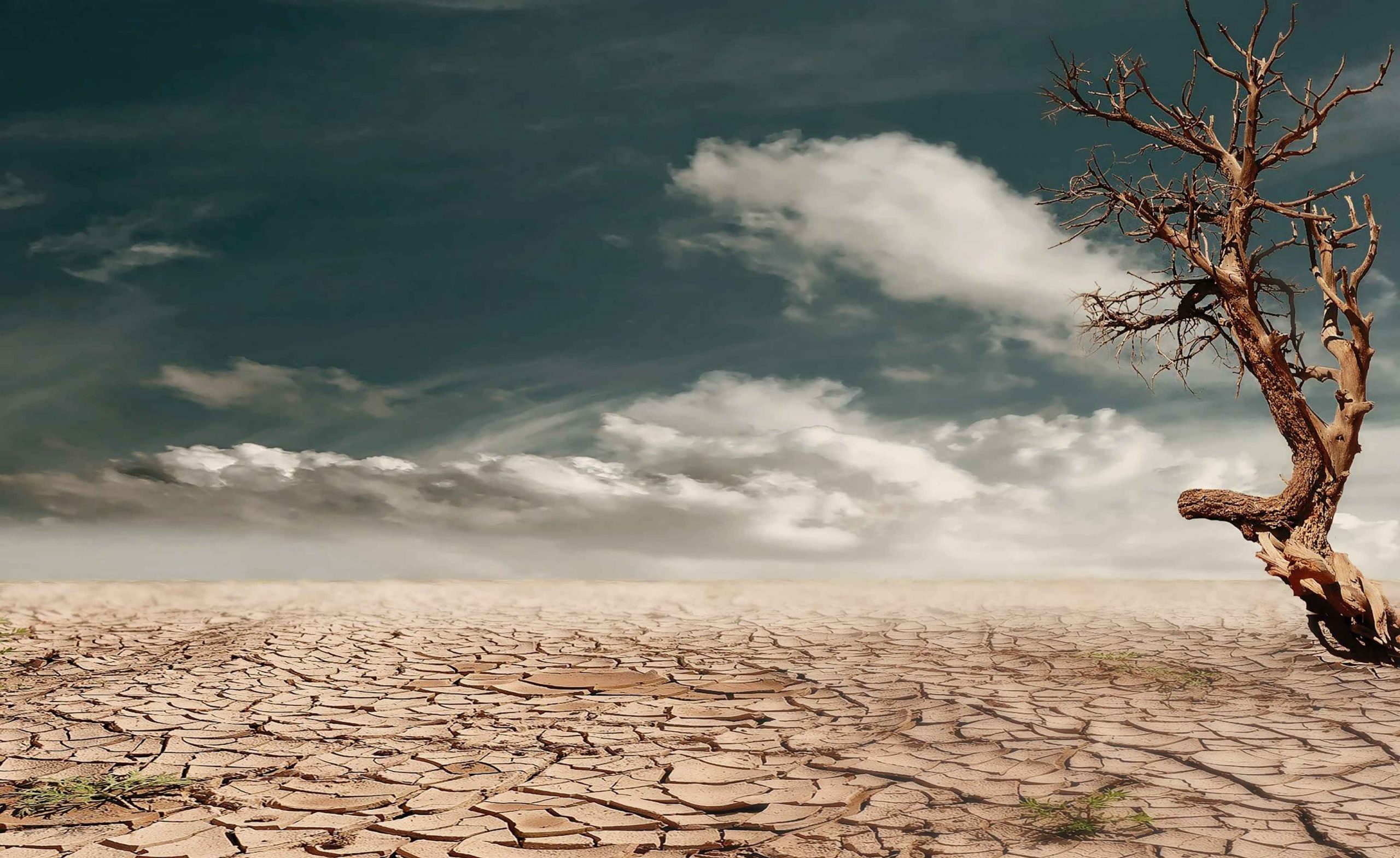 “İklim krizi ve kitlesel yok oluş karşısında gelecek 10 yıl son şansımız”
