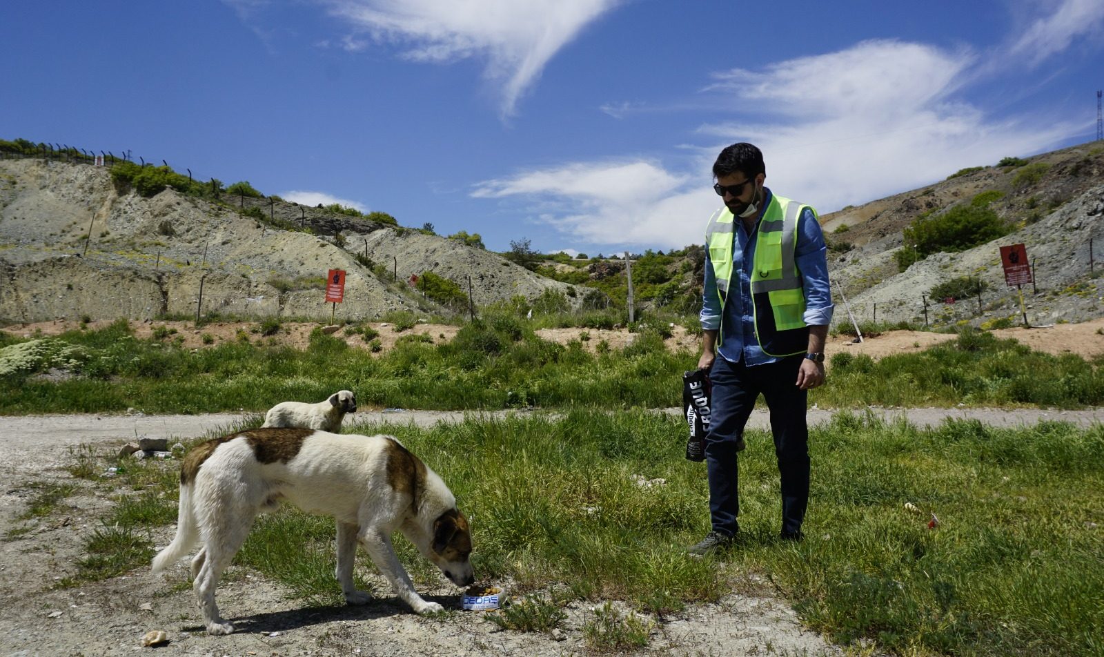Osmangazi EDAŞ tatil döneminde de sokak hayvanlarını yalnız bırakmadı