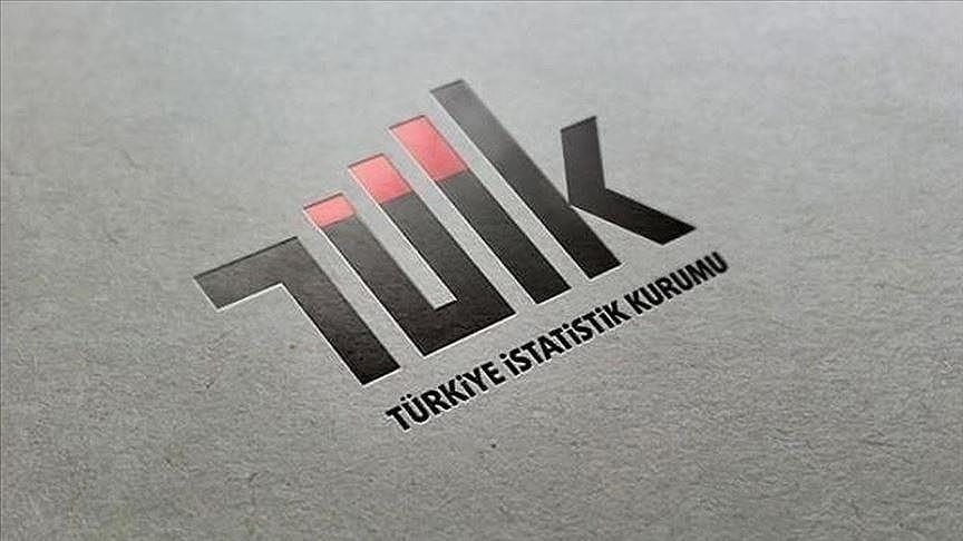 TÜİK: “Temmuzda fiyatı en fazla artan ürün ‘elektrik’ oldu”